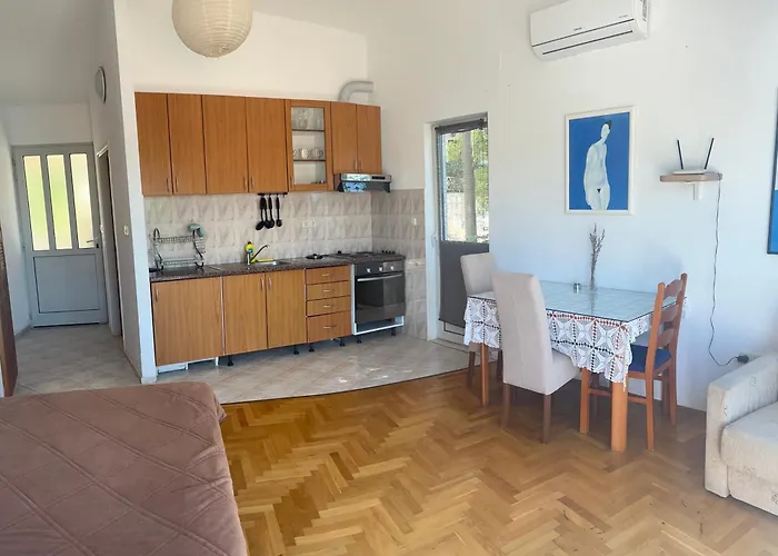 Apartment Bicanic *