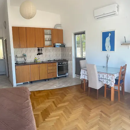 Apartman Bicanic *